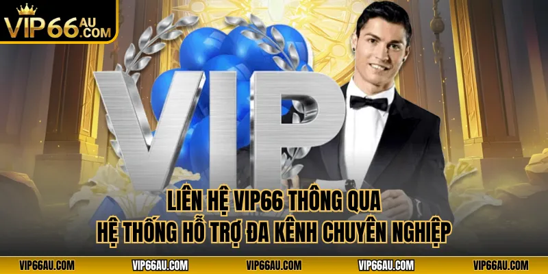 Liên hệ VIP66 thông qua hệ thống hỗ trợ đa kênh chuyên nghiệp