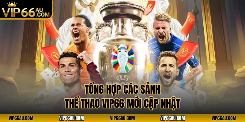 Tổng hợp các sảnh thể thao VIP66 mới cập nhật